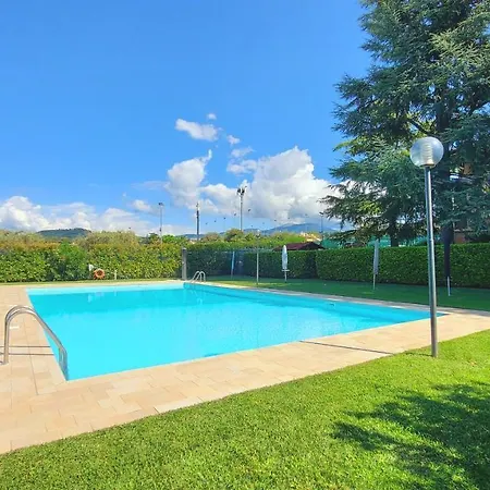 Colors Pool